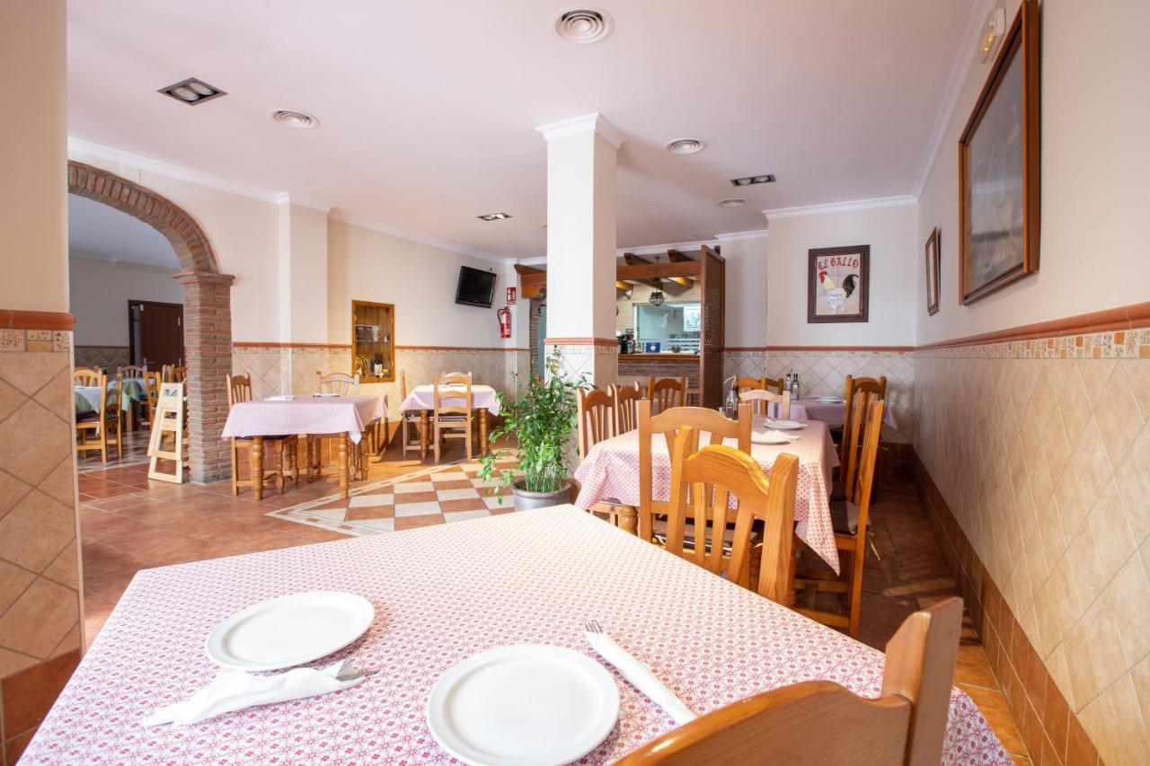 El Gallo Hostal